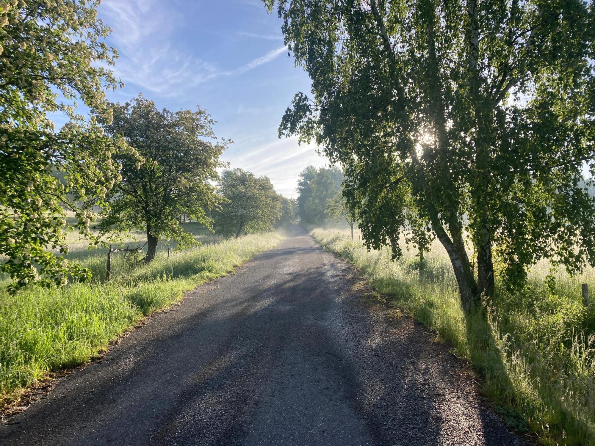 127 Let Stara Chalupa Se Spanim Na Peci A Finskou Saunou Jistebnice Buitenkant foto